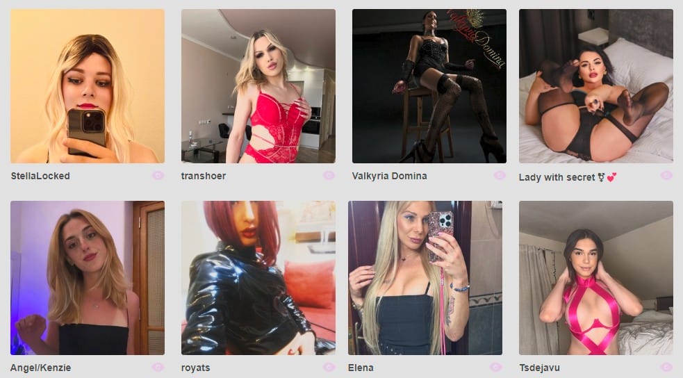 trans influencers op fancentro